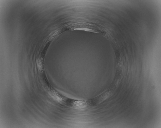 X0000079290139200612011734