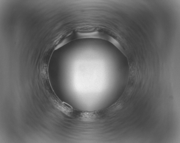 X0000079290141200612011733