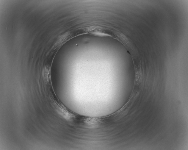 X0000079290142200612011733