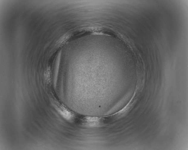 X0000079290144200612011733