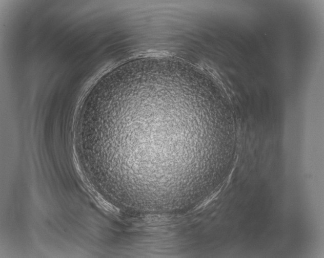 X0000079290145200612011733