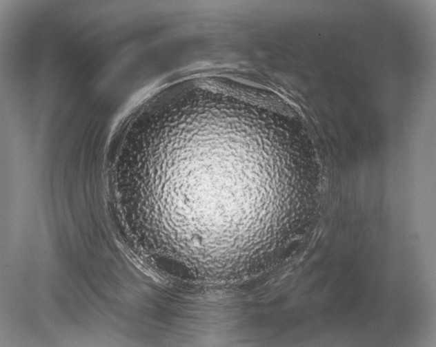 X0000079290149200612011733