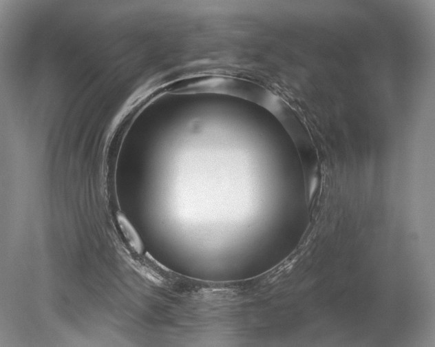 X0000079290150200612011733
