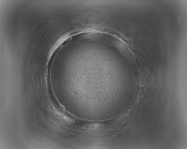 X0000079290152200612011733