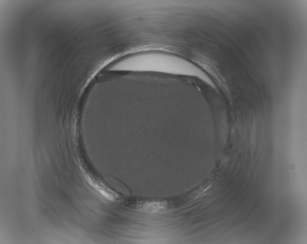 X0000079290156200612011733