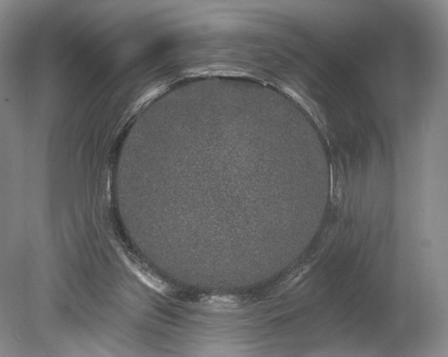 X0000079290157200612011733