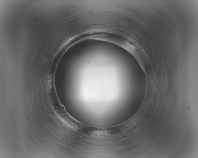 X0000079290160200612011733