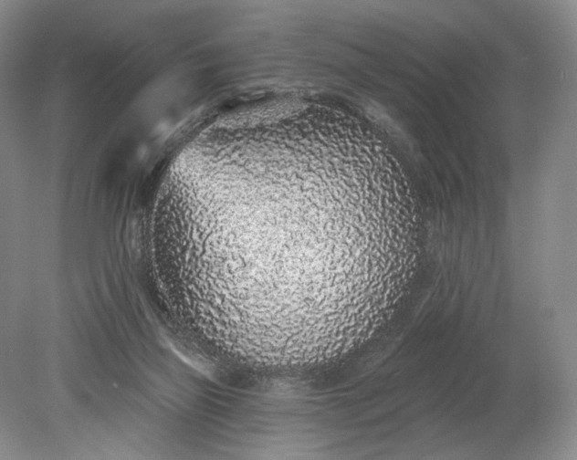 X0000079290165200612011733