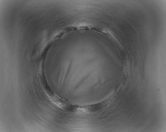 X0000079290167200612011733