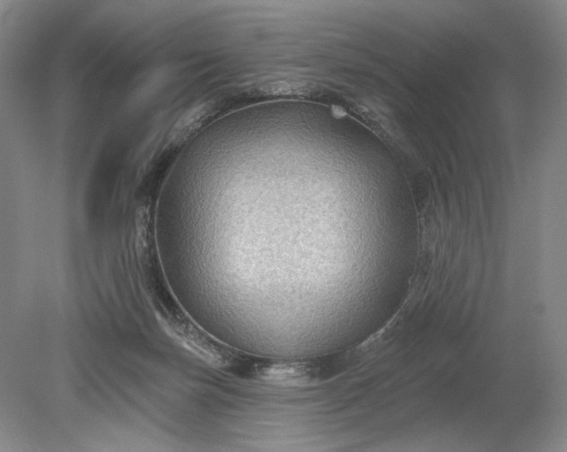 X0000079290171200612011733