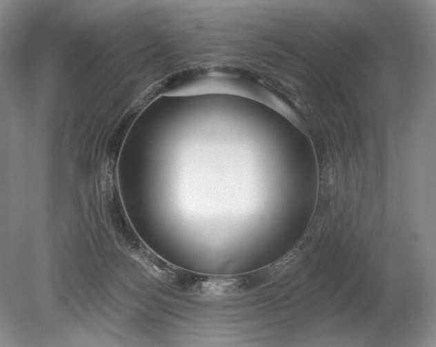 X0000079290172200612011733