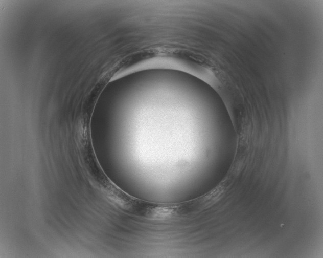 X0000079290176200612011733