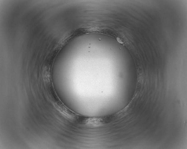 X0000079290179200612011733