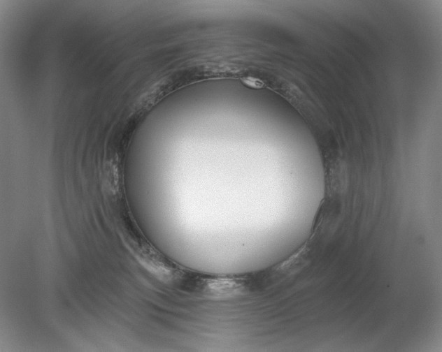 X0000079290183200612011733