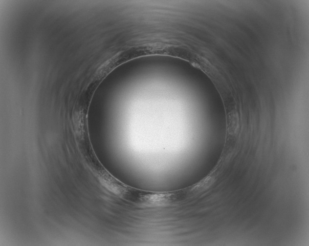 X0000079290184200612011733