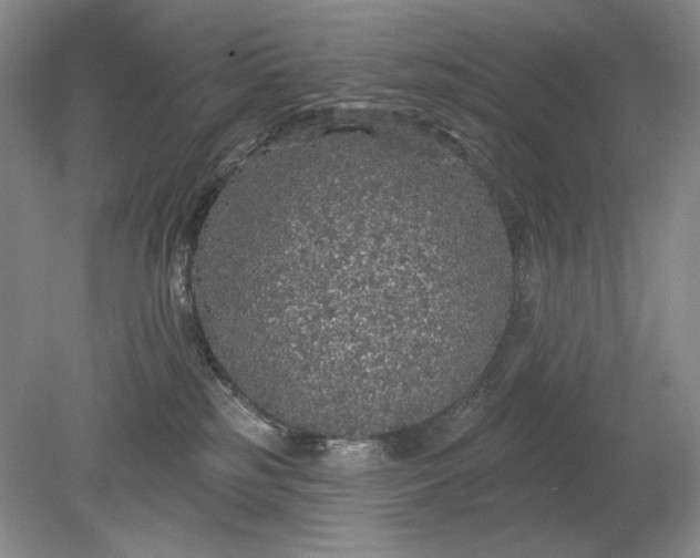 X0000079290185200612011733