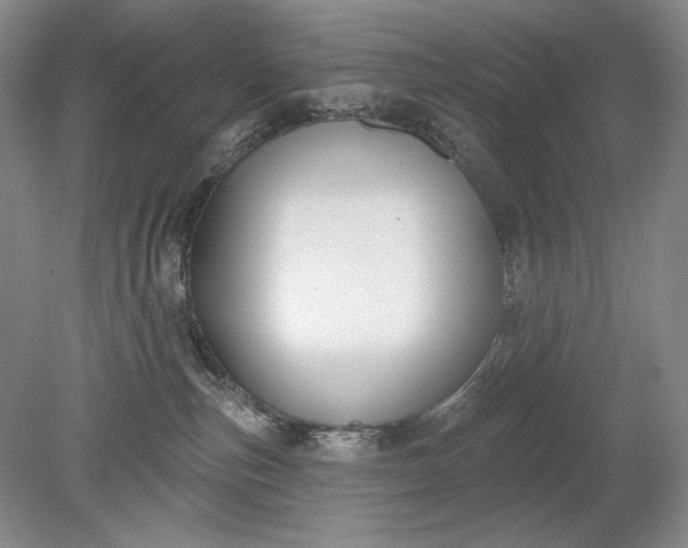 X0000079290187200612011733