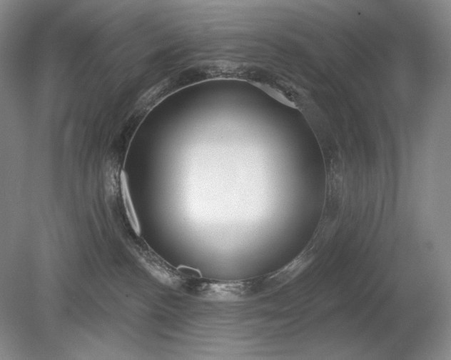 X0000079290188200612011733