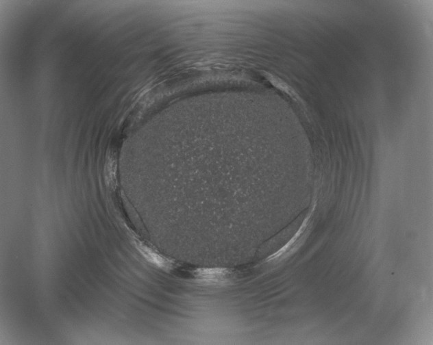 X0000079290192200612011733