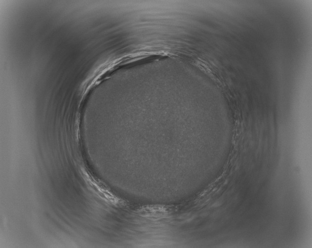 X0000079290194200612011733
