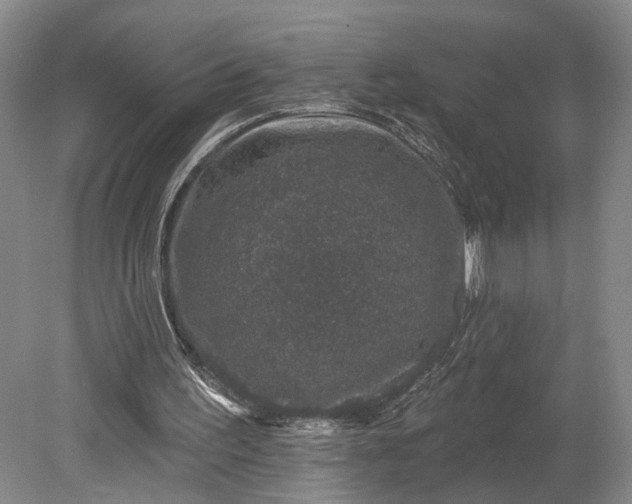 X0000079290195200612011733