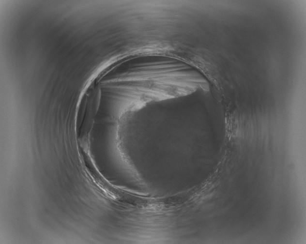 X0000079290196200612011733