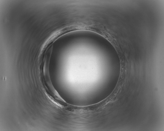 X0000079290197200612011733