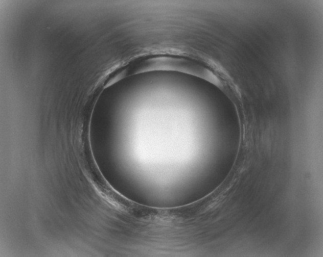 X0000079290201200612011732