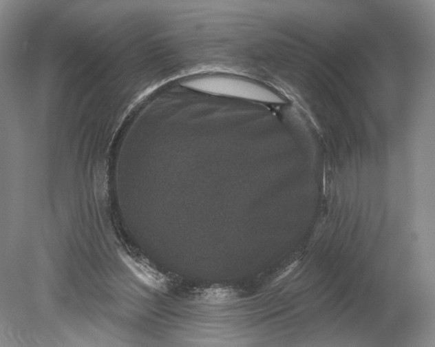 X0000079290204200612011732