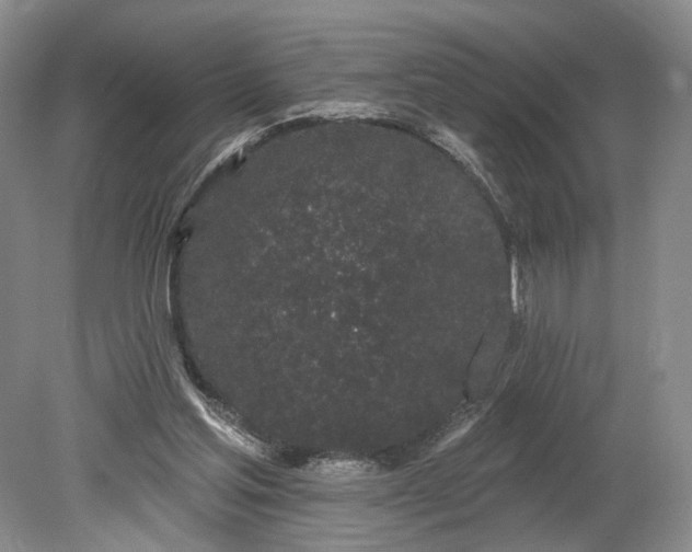 X0000079290205200612011732