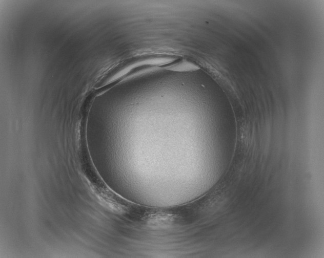 X0000079290206200612011732