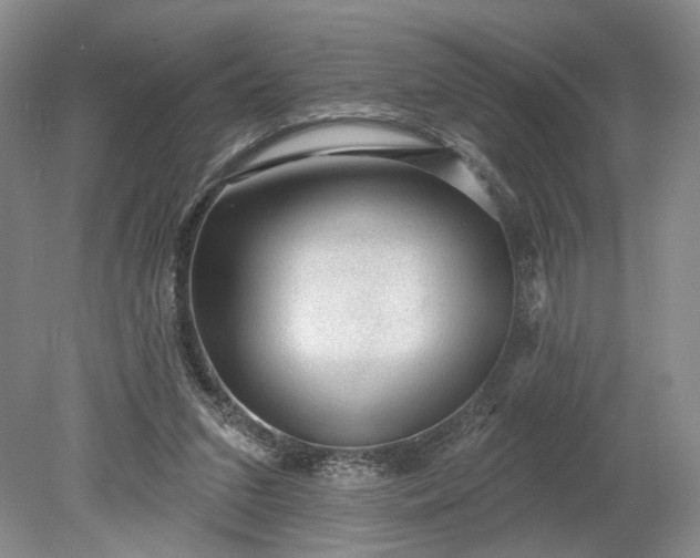 X0000079290207200612011732