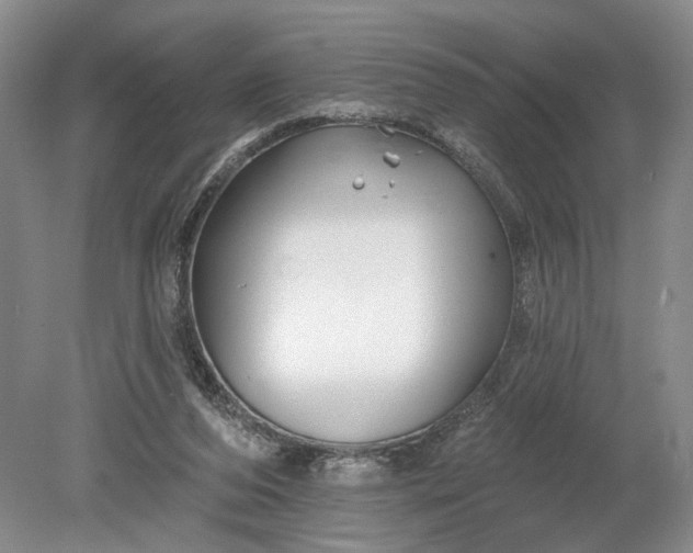 X0000079290208200612011732
