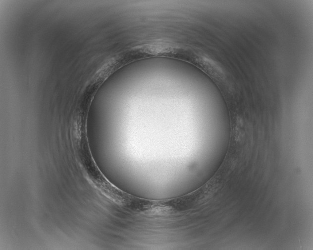 X0000079290210200612011732