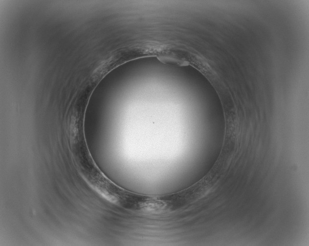 X0000079290215200612011732