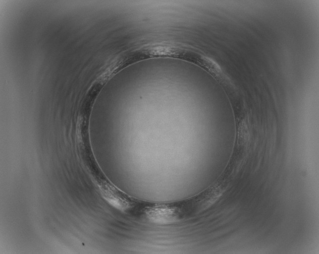 X0000079290217200612011732