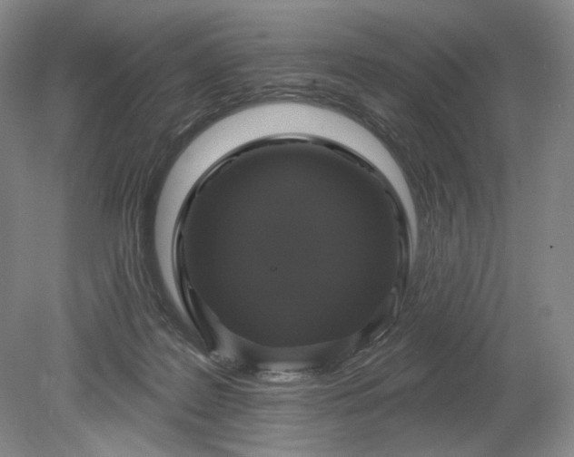 X0000079290219200612011732