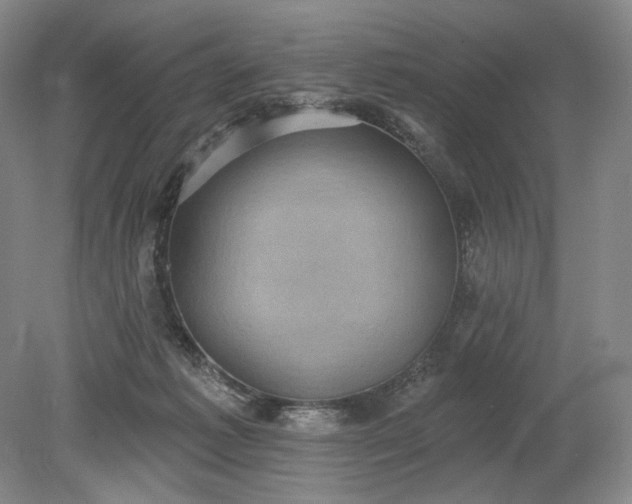 X0000079290221200612011732