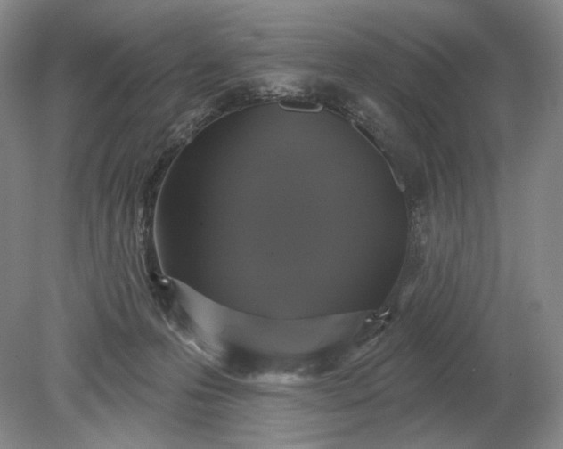 X0000079290223200612011732