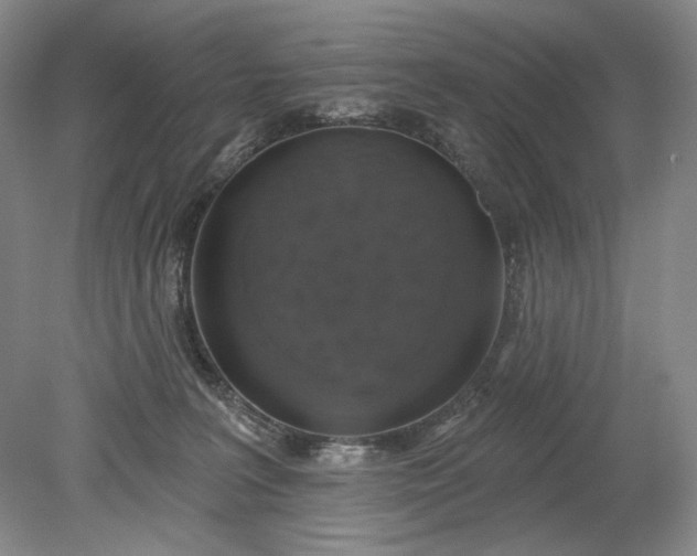 X0000079290227200612011732