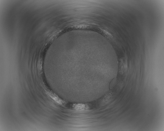 X0000079290230200612011732