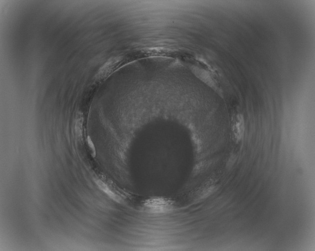 X0000079290231200612011732