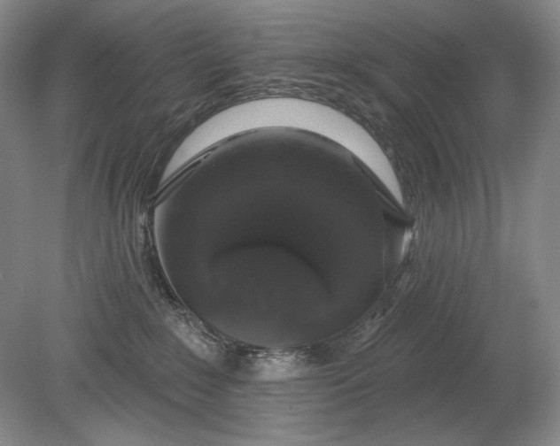 X0000079290235200612011732