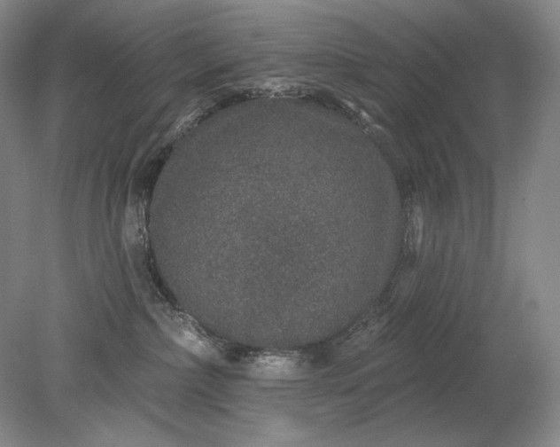 X0000079290236200612011732
