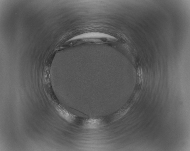 X0000079290237200612011732
