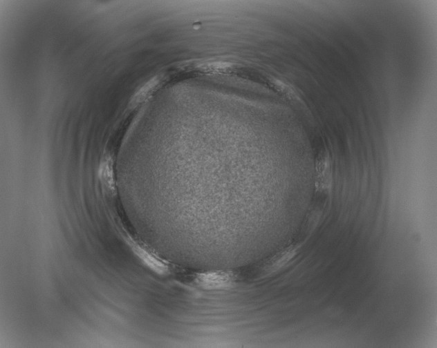 X0000079290238200612011732