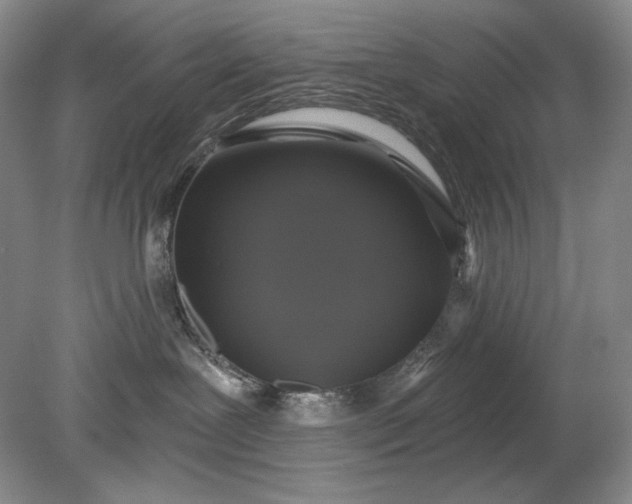 X0000079290239200612011732