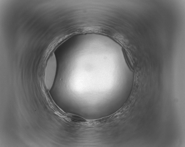 X0000079290241200612011731