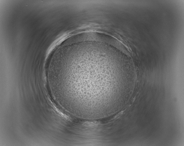 X0000079290245200612011731