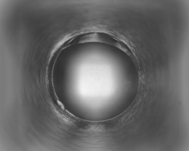 X0000079290248200612011731